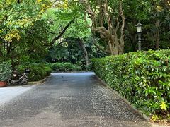 -上海市第三女子中学