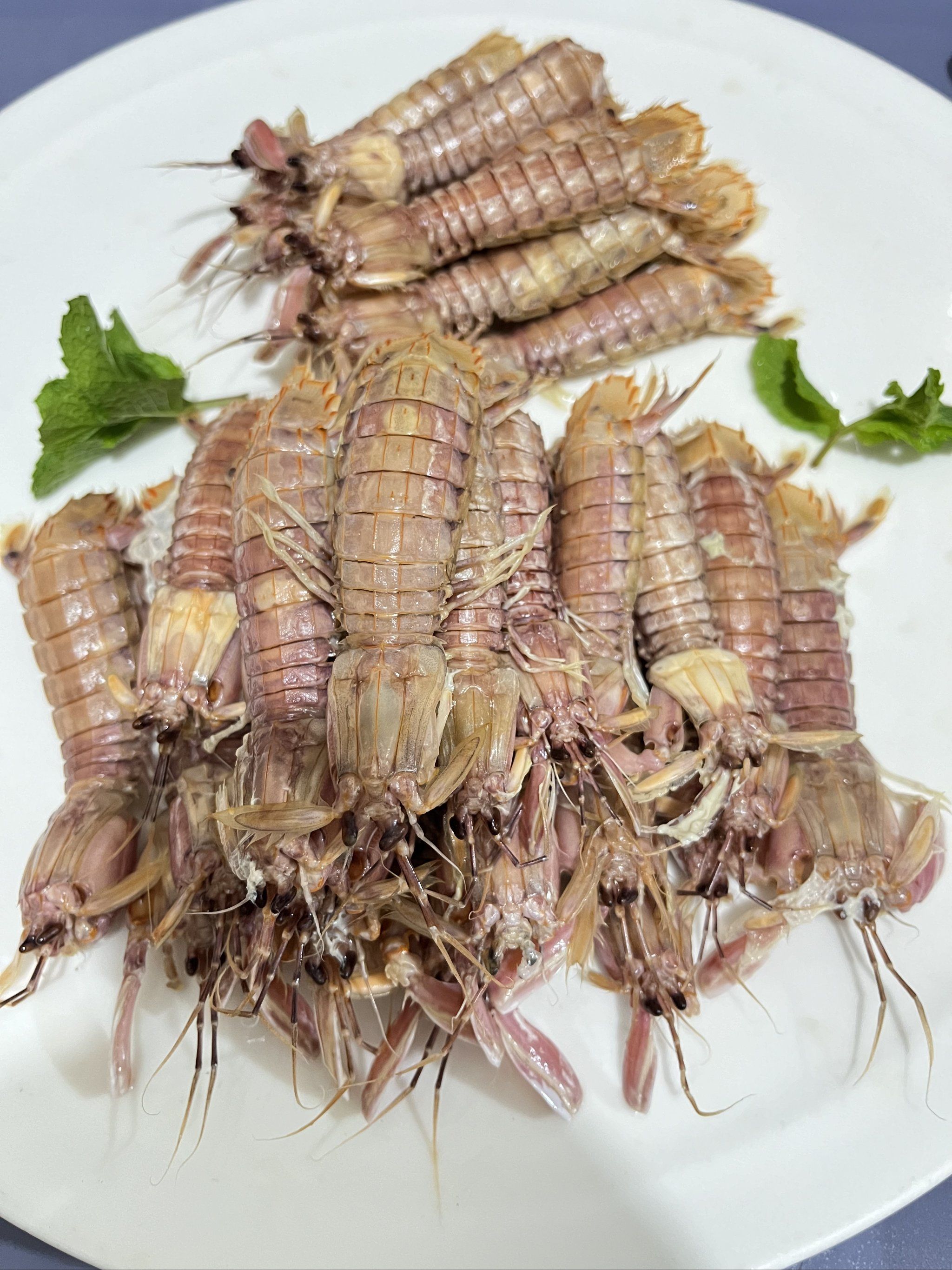 又大又鲜美的皮皮虾,又幸福了