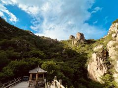 -大岭沟猕猴桃谷风景区