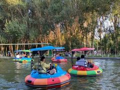 -长白岛森林公园