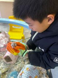 -神奇动物撸宠馆·羊驼·小浣熊·异宠(豫园店)