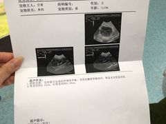 -北京赛佳动物医院