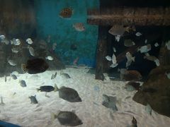 -福州罗源湾海洋世界旅游区