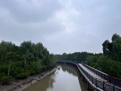 -东寨港红树林旅游区