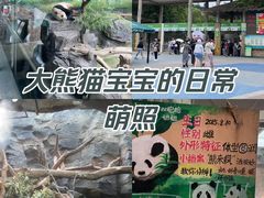 -红山森林动物园
