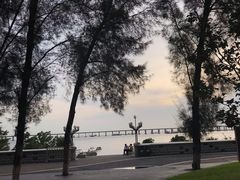 -宝安西湾红树林湿地公园