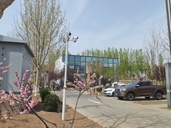 -瀛海足球主题公园