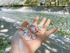 -海棠花溪(元大都城垣遗址公园)