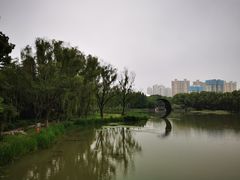 -昆山城市生态森林公园