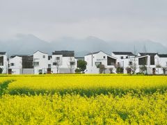 -东梓关景区村庄