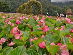 -广州市石门国家森林公园