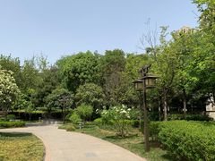 -木塔寺遗址生态公园
