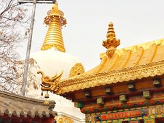-护国法轮寺