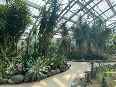 -南山植物园
