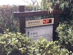 -天目湖涵田半山温泉