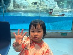 -帝企鹅自助餐厅•儿童岛•真企鹅(长隆企鹅酒店)