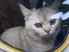 -美联众合动物医院·24h转诊中心