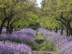 -江苏三台山国家森林公园