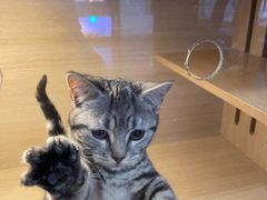 -三旗百汇商品城