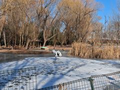 -石家庄市动物园