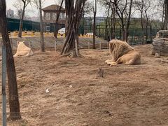 -秦皇岛野生动物园