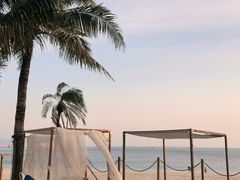 -精酿农场Brew Farm·沙漠绿洲餐厅