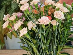 -春暖花开(西溪店)