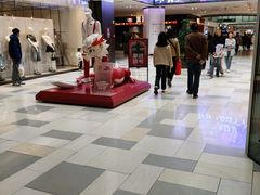 -鹏欣水游城