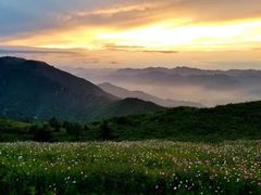 -阳台山自然风景区