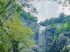 -燕子河大峡谷天坑仙境