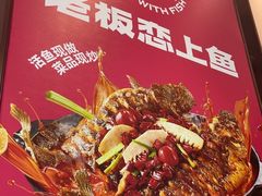 -老板恋上鱼(印象城店)