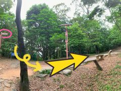 -梧桐山风景名胜区