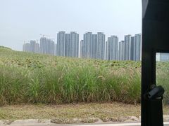 -光明小镇欢乐田园