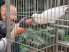 -南宫五洲植物乐园