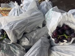 -马陆小张葡萄园农家乐