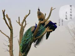 -杭州野生动物世界