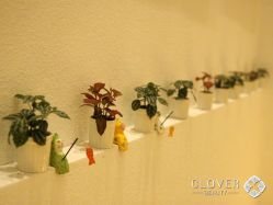 点击看大图 -Clover Beauty四葉美睫