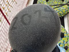 -广州热雪奇迹
