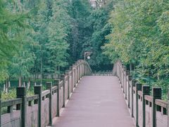 -重庆彩云湖湿地公园
