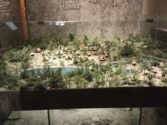 -上海崧泽遗址博物馆
