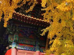 -宝通禅寺