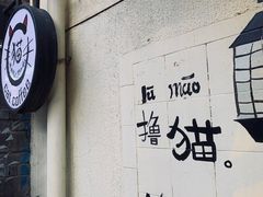 -豆老板的猫咖啡(碑林博物馆店)