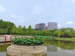 -大望京公园