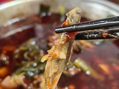 -彭大姐老店黄辣丁(新津店)