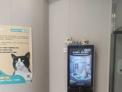 -瑞鹏宠物医院·骨科·猫科·内科(第一中心)