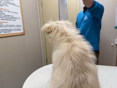 -安安宠医·臻爱宠物医院·宠保定点(营门口路分院)