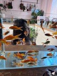 -WAVE SODA摄影工作室