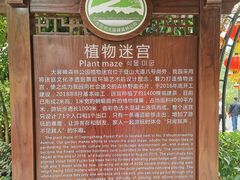 -大屏嶂森林公园