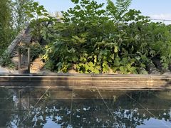 -自如ZSPACE四合院艺术餐厅