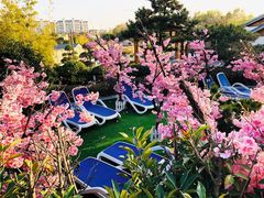 -郑州银基黄帝宫御温泉